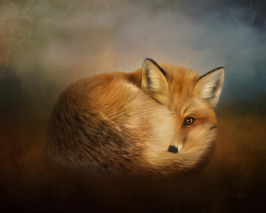 little-fox